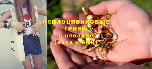 а пвп мука Навашино