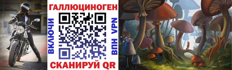 Купить закладки  Звенигород  Галлюциногенные грибы GOLDEN TEACHER 